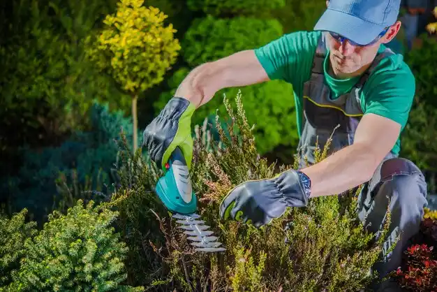 landscaping services Novinger